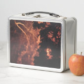 Fireworks 20 lunchbox inoxydable (En situation)