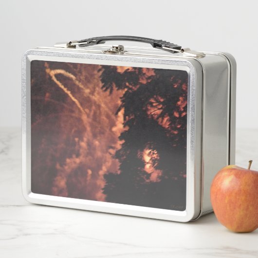 Fireworks 20 lunchbox inoxydable (En situation)