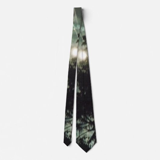 Fireworks cravate 13 hommes (Dos)