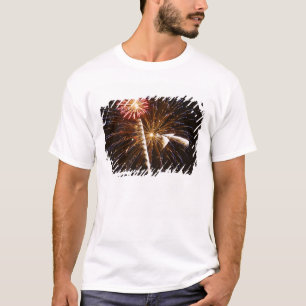 Fireworks-display op de Savannah-rivier T-shirt