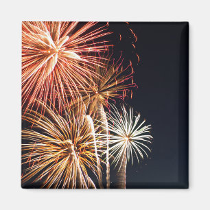 Fireworks P0541 Magnet Magneet