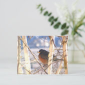 First Bird Briefkaart (Staand voorkant)