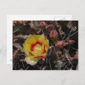 First Blossom Briefkaart (Voorkant / Achterkant)