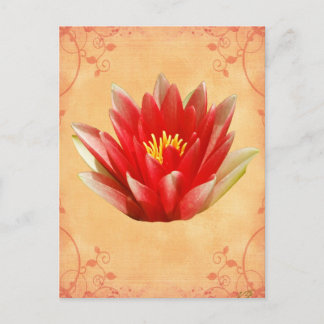 First Chakra Gift Briefkaart