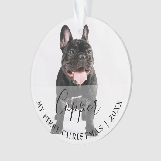 First Christmas Pet 2 Photo Script Name Ornament (devant)