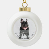 First Christmas Pet Photo Script Name Ornament (Voorkant)