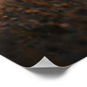 First Light | Whitetail Deer Art | Poster (Coin)