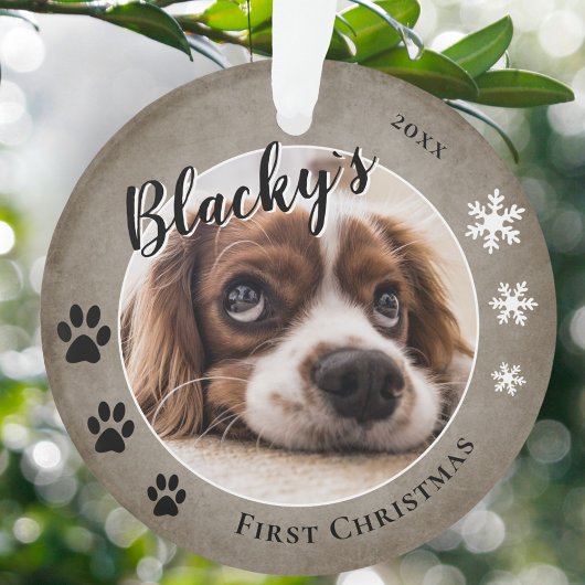 First Puppy Christmas Rustic Chien Nom Photo