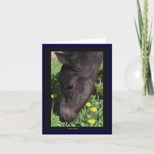 'First Taste' NoteCards Kaart (Voorkant)