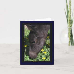 'First Taste' NoteCards Kaart