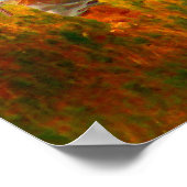 FirstHunt Poster (Hoek)