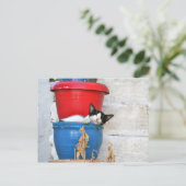 Fiscardo, Kefalonia Briefkaart (Staand voorkant)