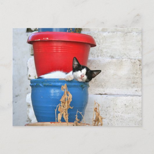 Fiscardo, Kefalonia Briefkaart (Voorkant)