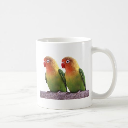 Fischer's Lovebird Koffiemok (Rechts)