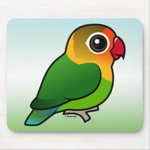 Fischer's Lovebird Muismat