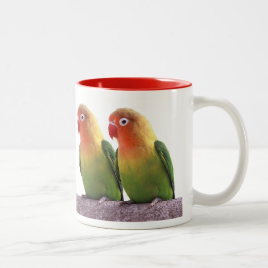 Fischer's Lovebird Tweekleurige Koffiemok (Rechts)