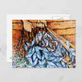 Fish Briefkaart (Voorkant / Achterkant)