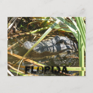 Fish Camp, Florida Briefkaart