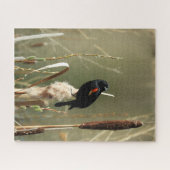 Fish Creek Red Wing Blackbird Jigaw Puzzle (Horizontal)