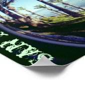 Fish Eye San Pedro palmbomen kustlijn Poster (Hoek)