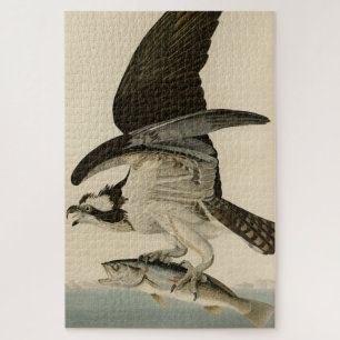 Fish Hawk, Osprey, uit Audubon's Birds of America Legpuzzel