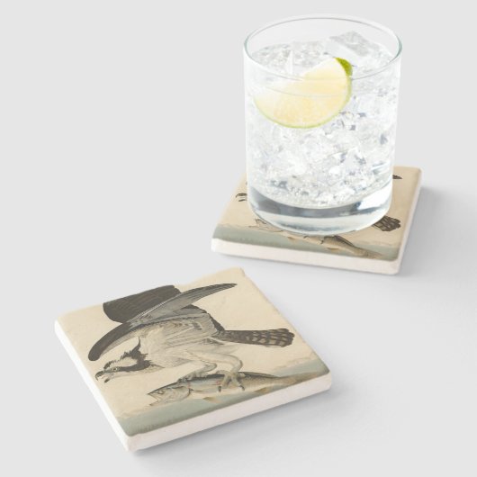 Fish Hawk, Osprey, uit Audubon's Birds of America Stenen Onderzetter (Zijkant)