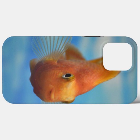 Fish Hoesje-Mate iPhone Case (Achterkant (horizontaal))