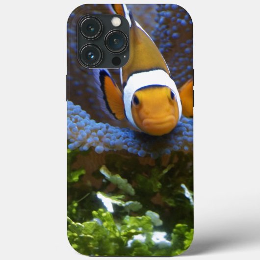 Fish Hoesje-Mate iPhone Case (Achterkant)