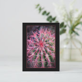 Fish Hook Briefkaart (Staand voorkant)