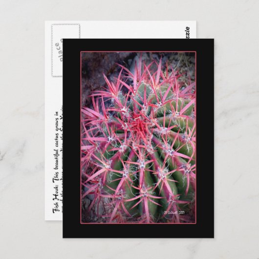 Fish Hook Briefkaart (Voorkant / Achterkant)