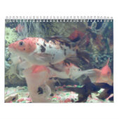 Fish Koi Calendar Kalender (Hoes)