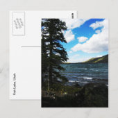 Fish Lake, Utah Briefkaart (Voorkant / Achterkant)