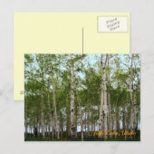 Fish Lake, Utah Briefkaart (Voorkant / Achterkant)