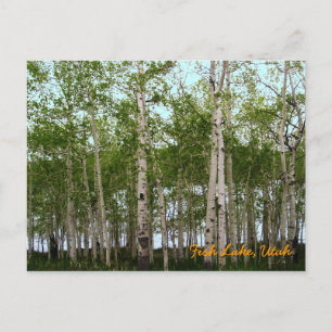 Fish Lake, Utah Briefkaart