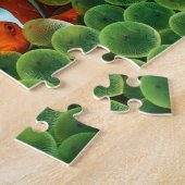 Fish Puzzle Legpuzzel (Zijkant)