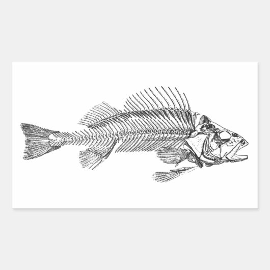 Fish Skeleton Logo Rechthoekige Sticker (Voorkant)