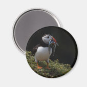 Fisher Puffin Magneet (Voorkant / Achterkant)