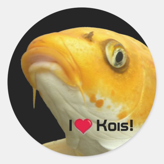 Fishies - Koi no.5 - I love Kois! Sticker (Voorkant)