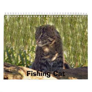FishingCat008, Gevist kat Kalender