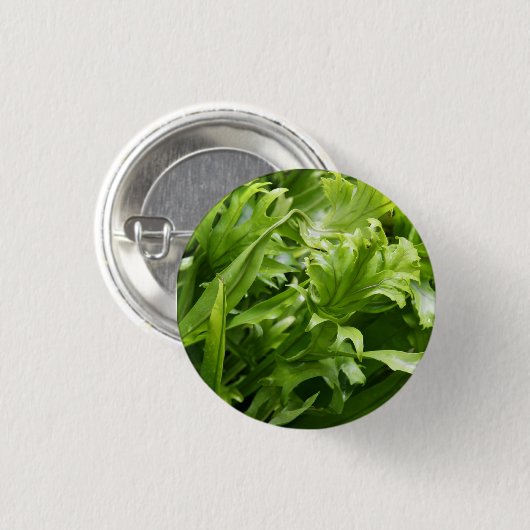 Fishtail Fern Button (Voorkant /achterkant)