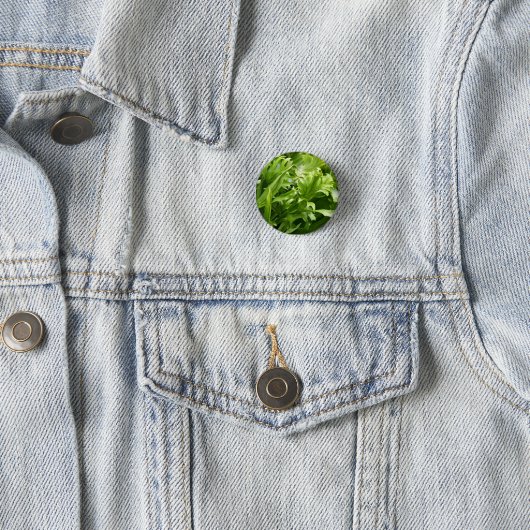 Fishtail Fern Button (In situ)