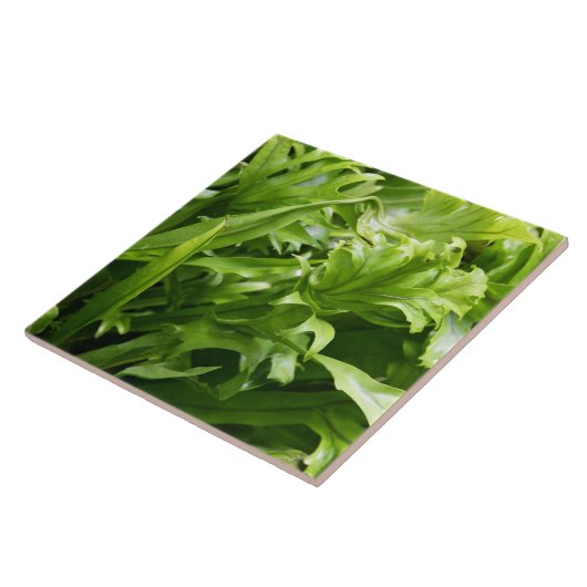 Fishtail Fern Tile Tegeltje (Zijkant)