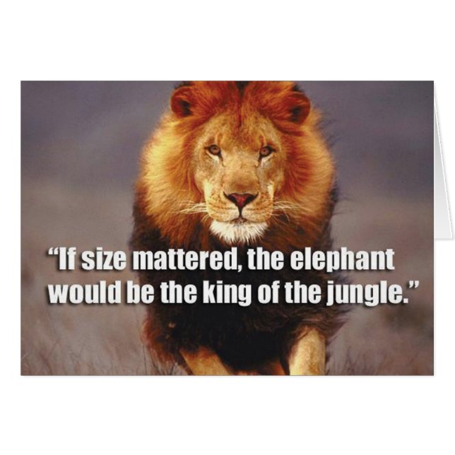 Fitness Motivationnelle (Devant horizontal)