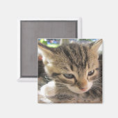 Fitsy de  One Magnet Magneet (Voorkant / Achterkant)