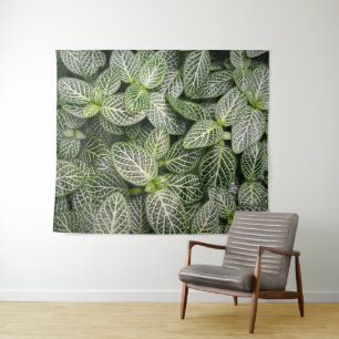 Fittonia Mosaic Plant met variabele bladeren Wandkleed