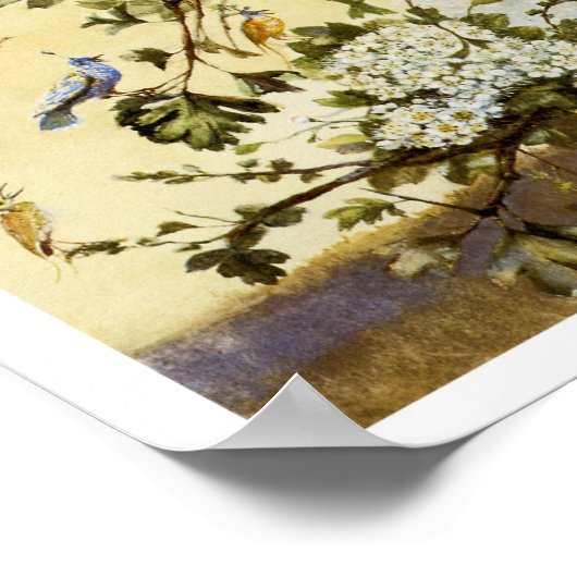 Fitzgerald's "Ariel" -  afdruk Poster (Hoek)