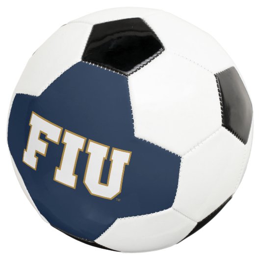 FIU (3/4)