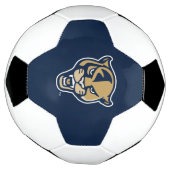 FIU Panter Head Voetbal (Gedraaid)