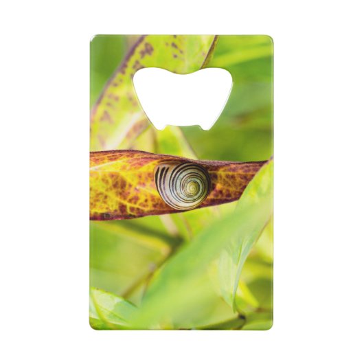 fixation calme (Dos)