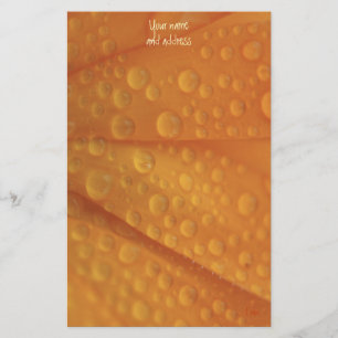fizzie oranje briefpapier